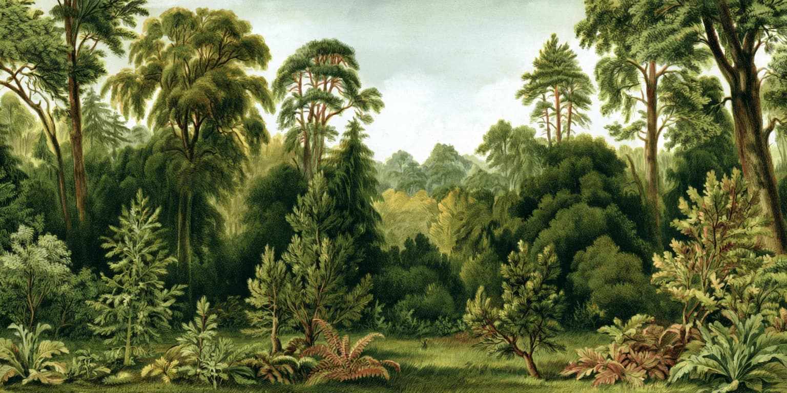Illustrated forest with tall trunks, palms and ferns in soft light