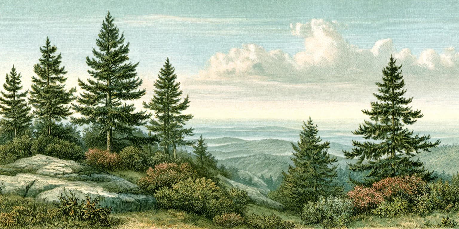 Illustrated tropical landscape with a tall tree above dense ferns and flowering plants
