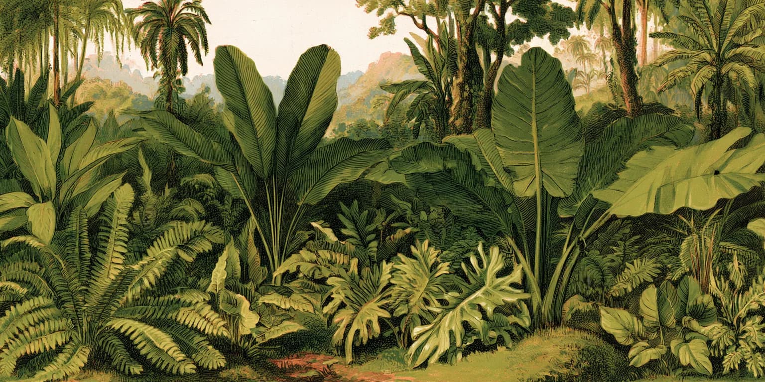 Illustrated tree canopy seen from below, dense with branches and leaves