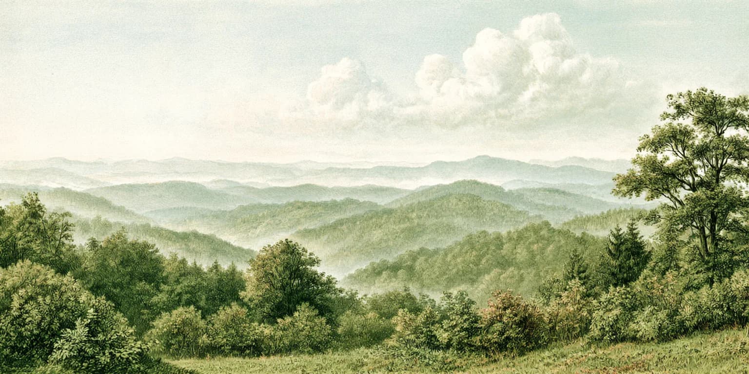 Illustrated misty tropical valley with flowering shrubs and palms